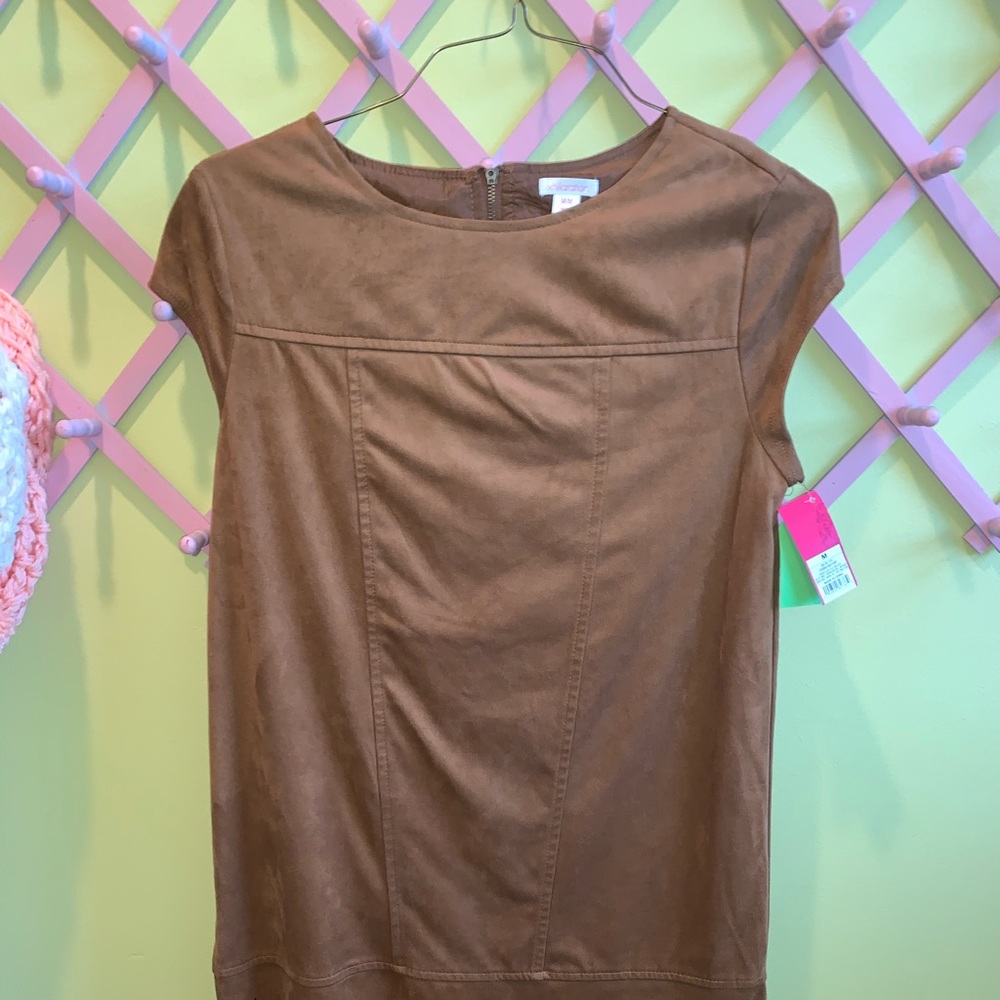 Brown Suede Dress.